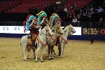 Quadrille - 00145